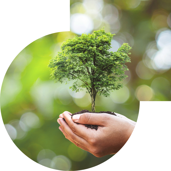 关怀人类、文化、环境与社会